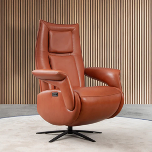 DM-B6005 Electric Recliner TV Chair